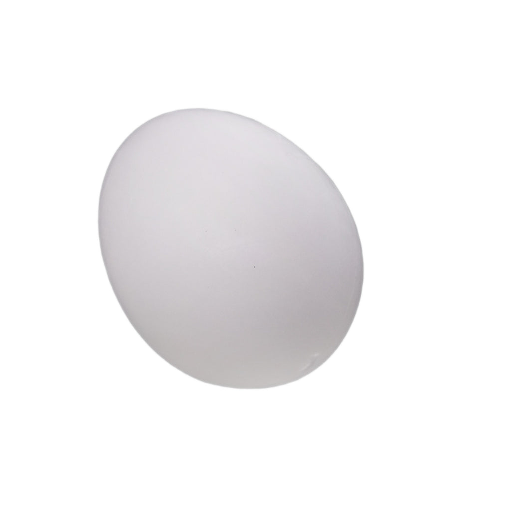 AU Stock 10x Solid Plastic Fake Dummy Egg Artificial For Pigeons White 1.5"x1.1"