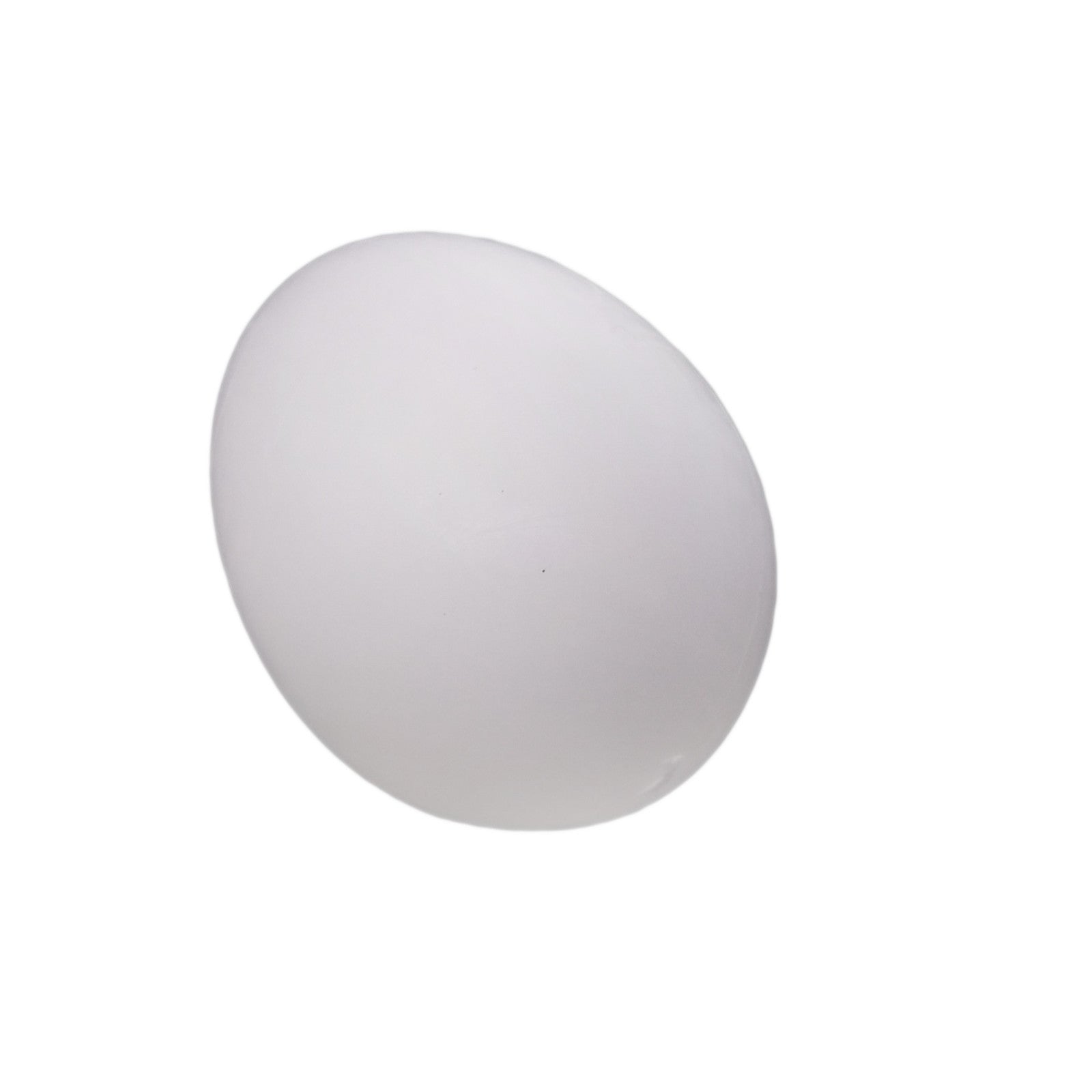 AU Stock 10x Solid Plastic Fake Dummy Egg Artificial For Pigeons White 1.5"x1.1"