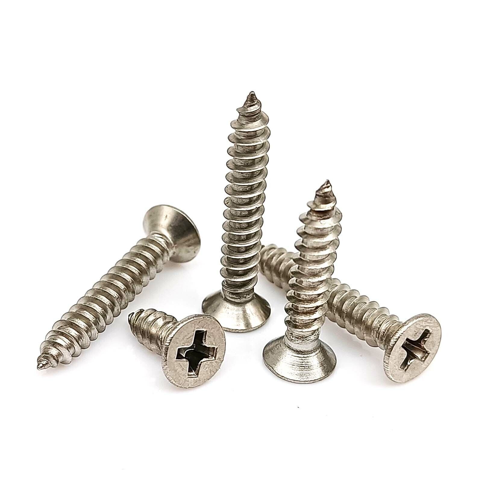 M1.2-M4 SS304 Phillips Flat Countersunk Head Self-tapping Wood Screw Set Kit Box